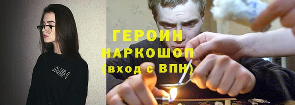 хмурый Бикин